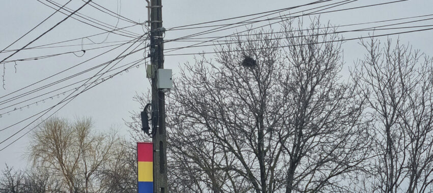 Matrapazlâcurile primăriei în decembrie
