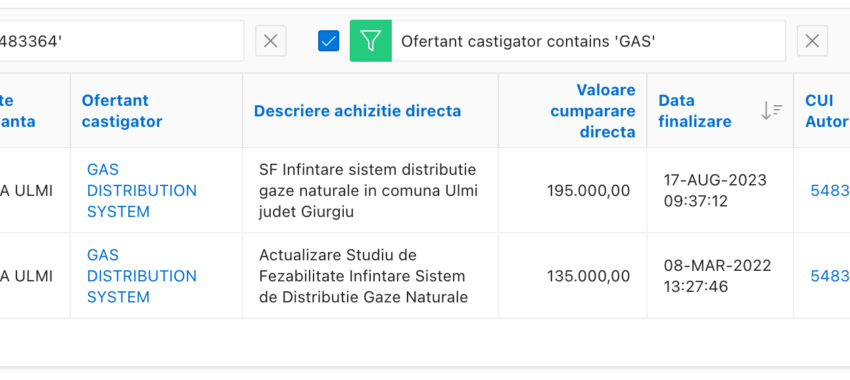Anul și studiul de fezabilitate